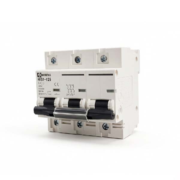 Interruttore automatico miniaturizzato HYB1-125 C100 MCB
